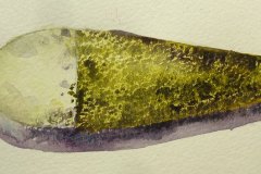 carnet_oleron_2020_02